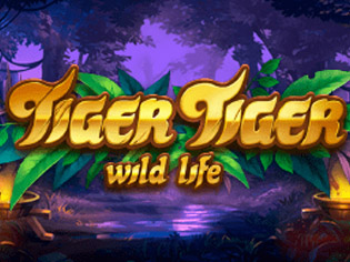 Tiger Tiger